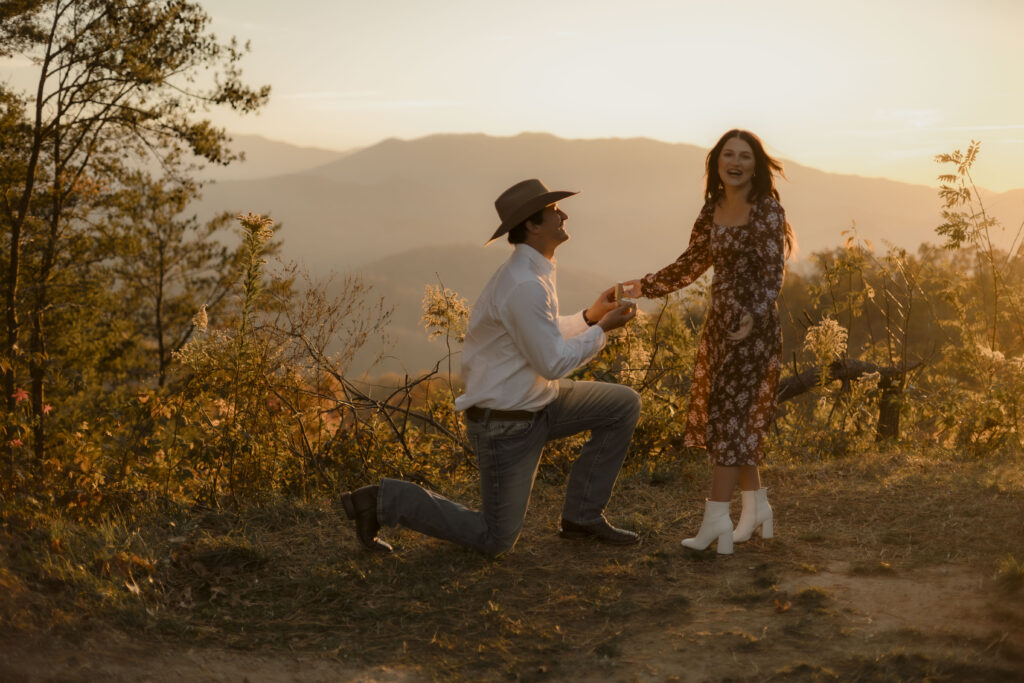 smoky mountain proposal